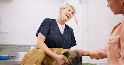 Buy stock photo Healthcare, dog and veterinary with woman client for consultation, visit or pet insurance. Animal, wellness and mature person with owner for advice, conversation or medical assessment in clinic