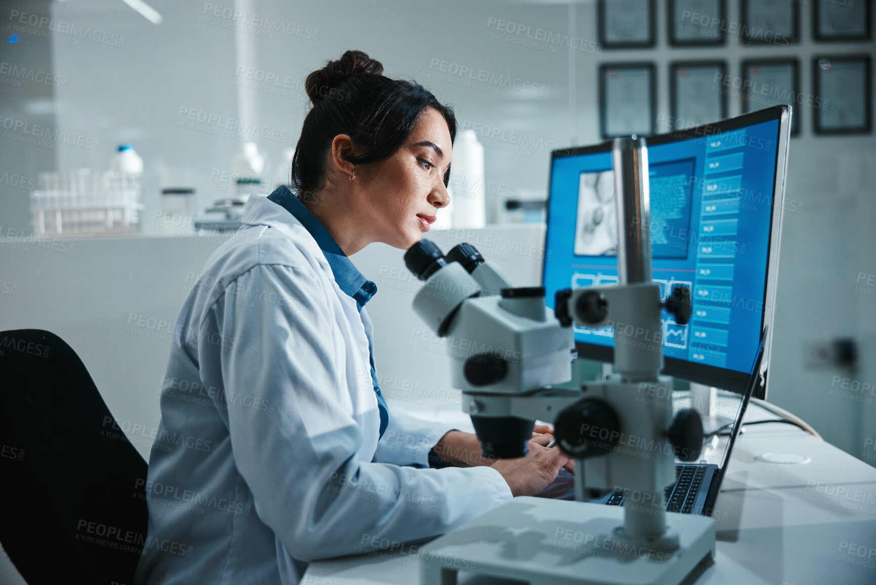 Buy stock photo Computer screen, microscope and science with woman in laboratory for development, innovation or research. Data, display and pharmaceuticals with scientist at work on medical breakthrough or discovery