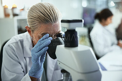 Buy stock photo Scientist, mature woman and microscope in laboratory for sample analysis, medical research or discovery. Biotechnology, professional or equipment for clinical experiment, science study or DNA testing