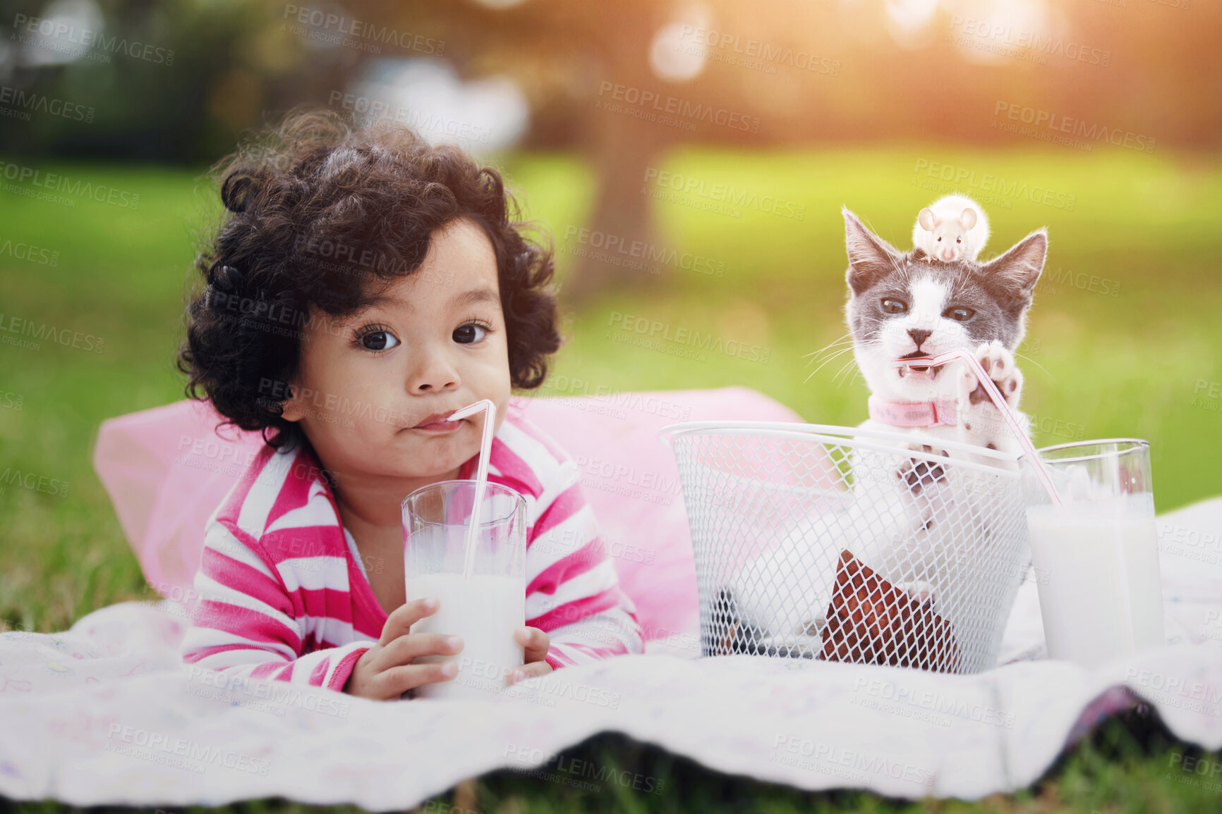 Buy stock photo Portrait, milk and a girl in the park with her kitten together for love, care or bonding during summer. Picnic, cat or kids and a cute young child in the garden having fun with her pet animal