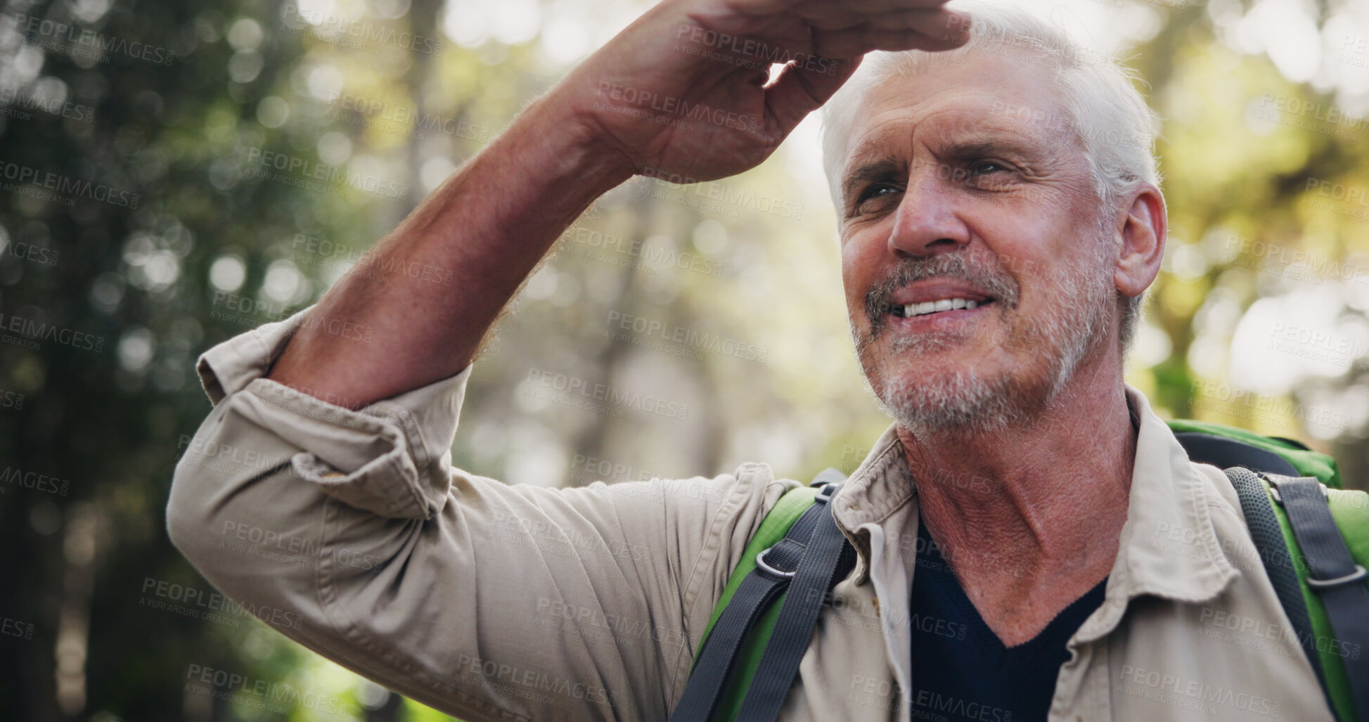 Buy stock photo Hiking, mature man and view in forest, smile and backpacking in nature for adventure, outdoor and trip. Journey, travel and old person on vacation in New Zealand, sightseeing and happy for holiday