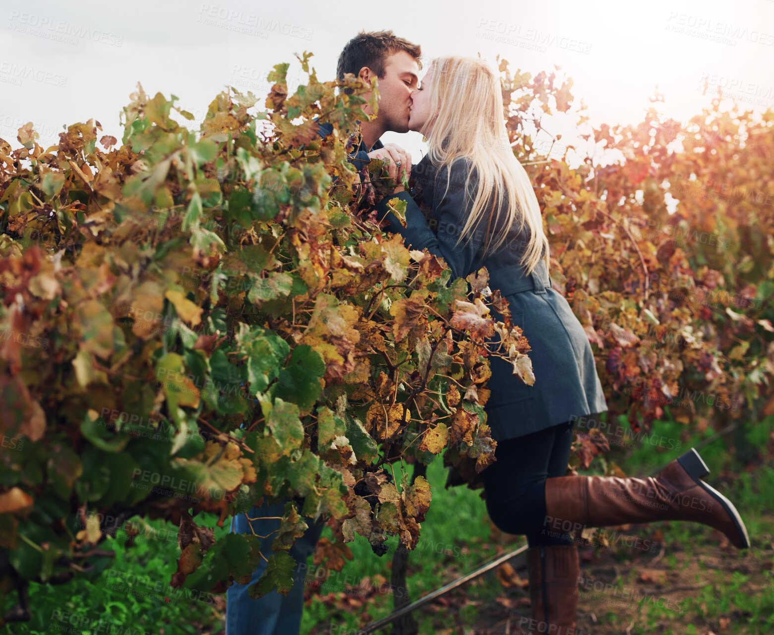 Buy stock photo A young couple kissing on the vineyards