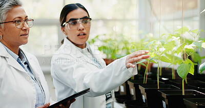 Buy stock photo Research, science and teamwork with tablet, plants and collaboration for medical pharmaceuticals. Women, employees and researchers with technology, study or digital app for gmo results or agriculture