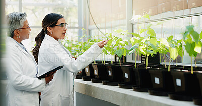 Buy stock photo Connection, science and women with tablet, plants and collaboration for medical pharmaceuticals. People, employees or researchers with tech, study and digital app for gmo results, talk or agriculture