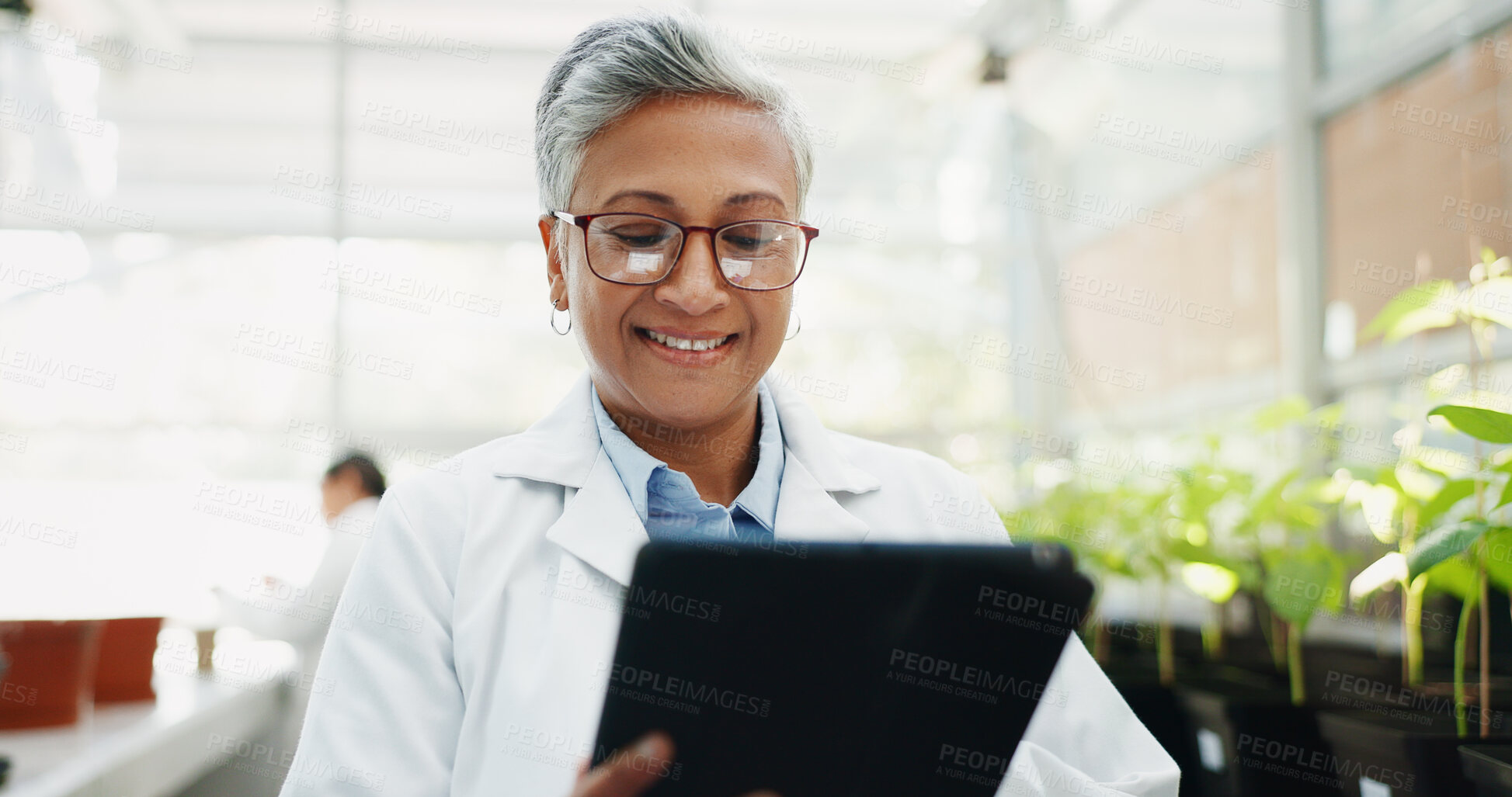 Buy stock photo Scientist, smile and woman with tablet in greenhouse for biochemistry, development and research. Science, innovation and mature person with tech by plants for ecosystem, ecology and climate change