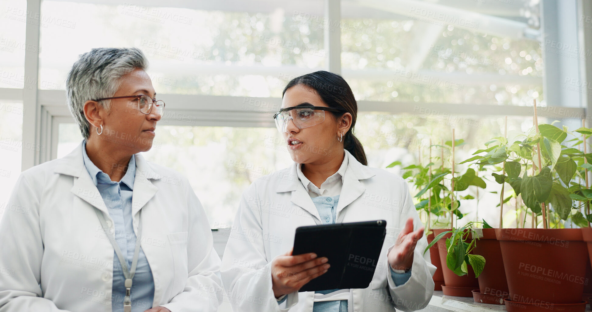 Buy stock photo Collaboration science and women with tablet, plants and agriculture for medical pharmaceuticals. People, employees and researchers with tech, nature and digital app for gmo results and connection