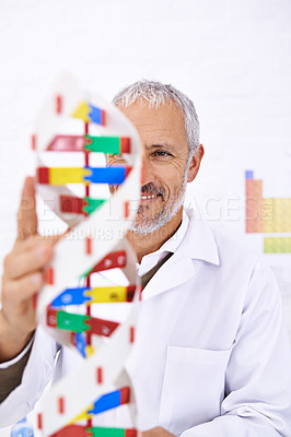 Buy stock photo Mature man, scientist and DNA in laboratory, study or thinking with model for biohacking research with smile. person, molecule and particles for human genome with pharmaceutical innovation in Germany