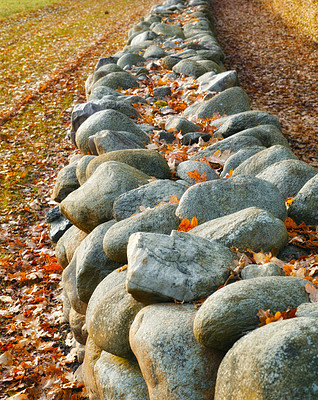 Buy stock photo Nature, leaves and stone wall with rocks, countryside and autumn weather for tranquil peace. Calm, relaxing and landscape of pine woods with outdoor morning for natural fall aesthetic wilderness