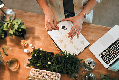 Buy stock photo Person, biotech and petri dish with plants for research in home, plant analysis or growth check for ecology. Above, laptop and document for agriculture review in house, herbs for sustainable study