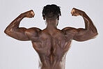 Flexing, muscle and back of a black man with power isolated on a grey studio background. Fitness, sexy and strong body of an African bodybuilder showing biceps from gym exercise on a backdrop