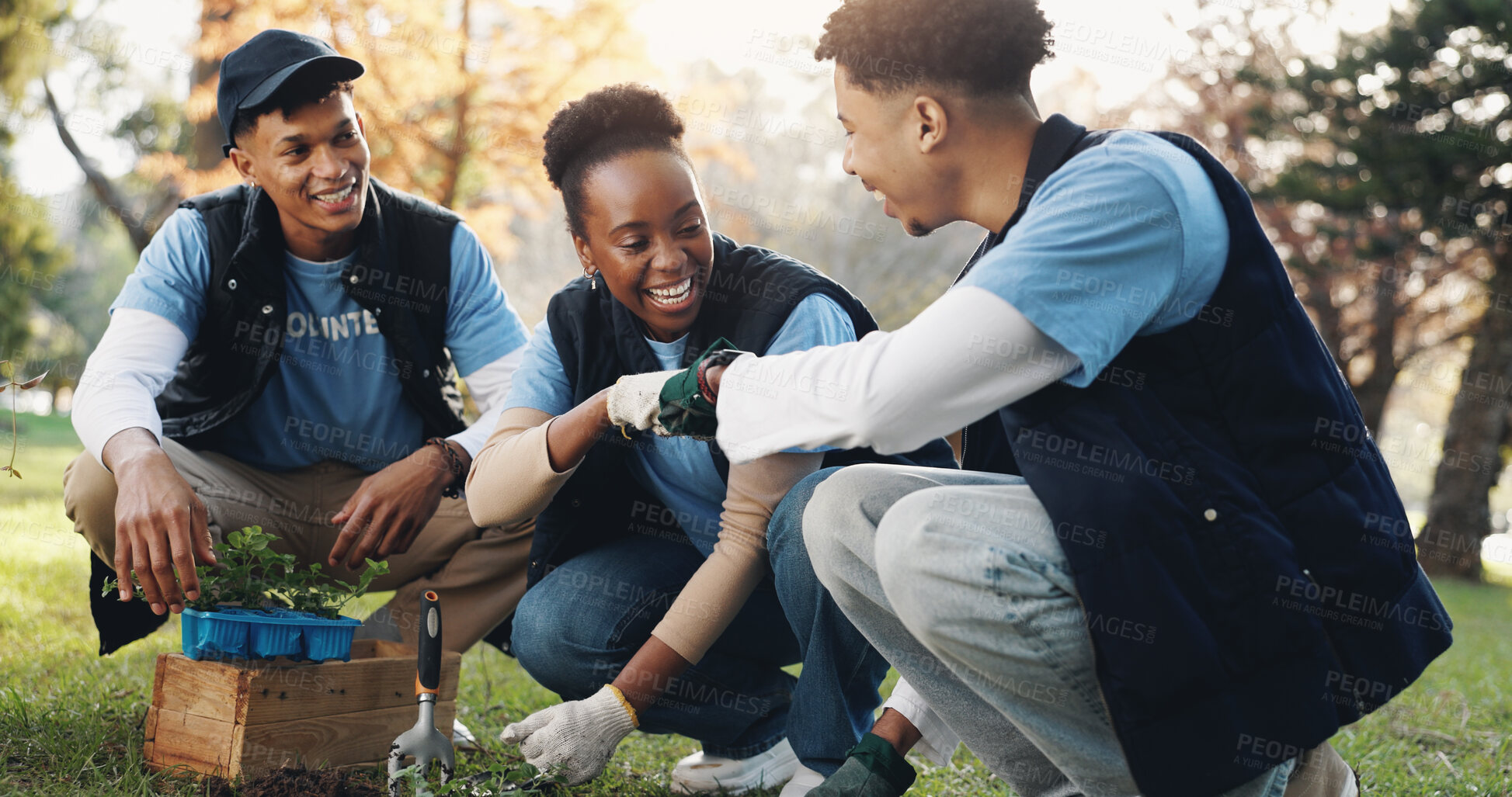 Buy stock photo Nature, fist bump and people with plant in park for growth, sustainability and eco friendly charity outreach. Gardening, earth day and volunteer group with tree for environment, ecosystem and ecology