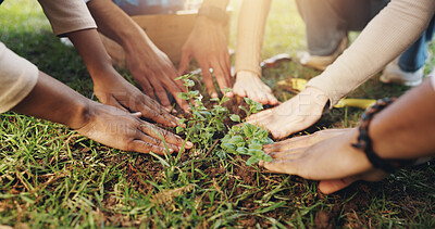 Buy stock photo Nature, soil and hands of people with plant for growth, sustainability and eco friendly charity outreach. Gardening, earth day and volunteer group with sprout for environment, ecosystem and ecology