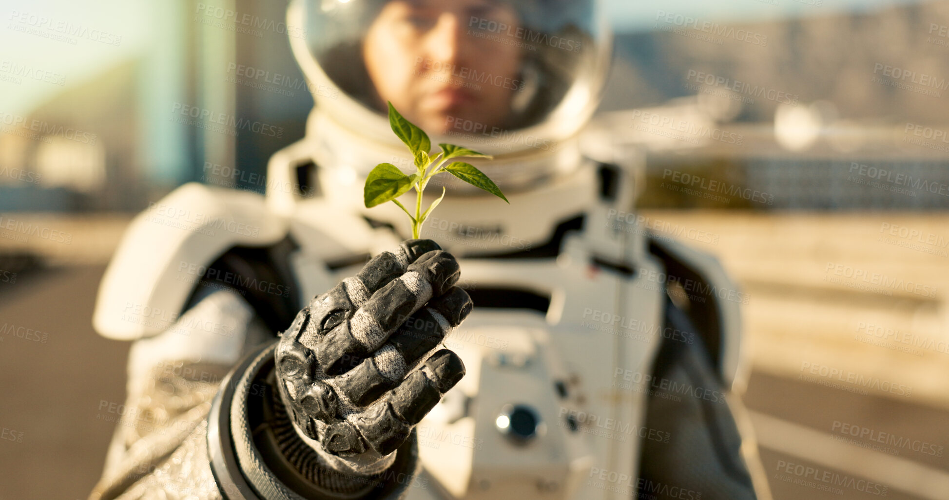 Buy stock photo Person, astronaut and outdoor with plant in city for scientific research, mission and experiment for environment. Safety  gear, outside and portrait for growth, discovery and eco friendly project