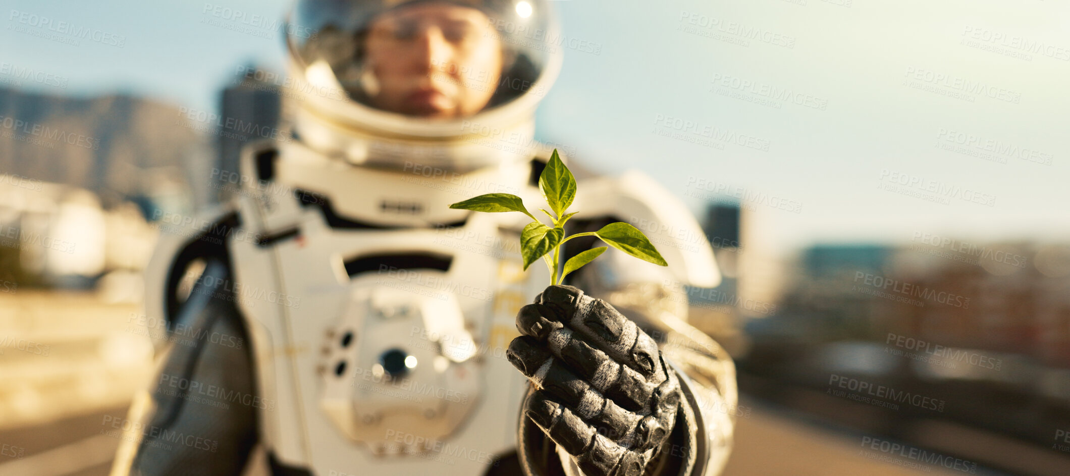 Buy stock photo Person, astronaut and outside with plant in road for scientific research, mission and experiment for environment. Spacesuit, outdoor and portrait for growth, discovery and eco friendly project