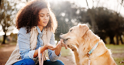 Buy stock photo Travel, woman and dog in park, comfort and bonding together with happiness, nature and cheerful. Fur, outdoor and person with pet lover, smile and animal with trees, carefree and weekend break