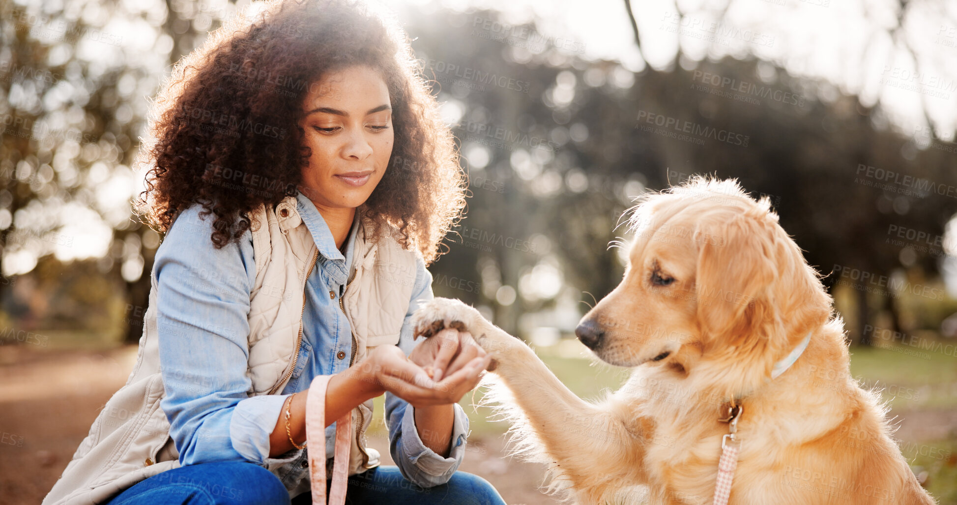 Buy stock photo Portrait, woman and dog in park, smile and bonding together with happiness, comfort and cheerful. Face, outdoor and girl with pet lover, check paw and animal with trees, carefree and weekend break