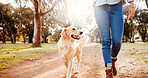 Legs, woman and dog in park for walk, outdoor adventure or morning exercise together on path. Nature, trekking and girl in forest trees with Labrador for workout, health and wellness with pet care