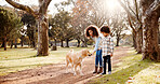 Park, pet and mom and child with dog in nature for training, care and outdoors for relax, chill and playing. Happy family, animals and mother, boy and Labrador for trust, bonding and fun together