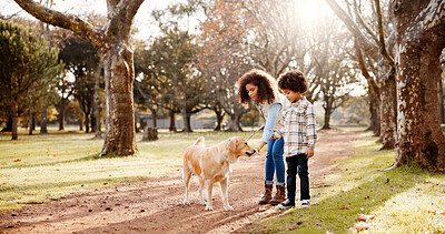 Buy stock photo Park, pet and mom and child with dog in nature for training, care and outdoors for relax, chill and playing. Happy family, animals and mother, boy and Labrador for trust, bonding and fun together