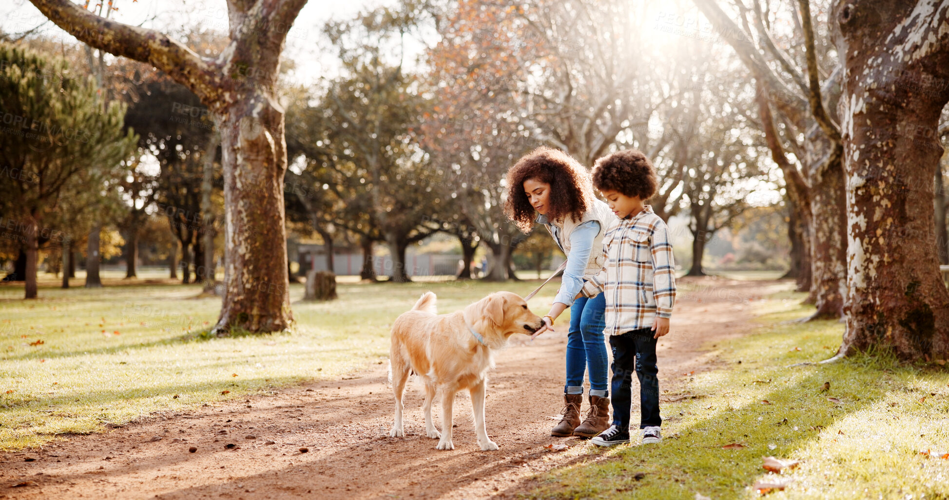 Buy stock photo Park, pet and mom and child with dog in nature for training, care and outdoors for relax, chill and playing. Happy family, animals and mother, boy and Labrador for trust, bonding and fun together