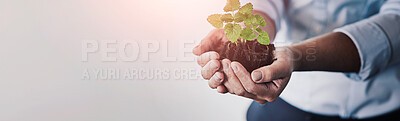 Buy stock photo Shot of a businesswoman's hands holding a young plant in soil