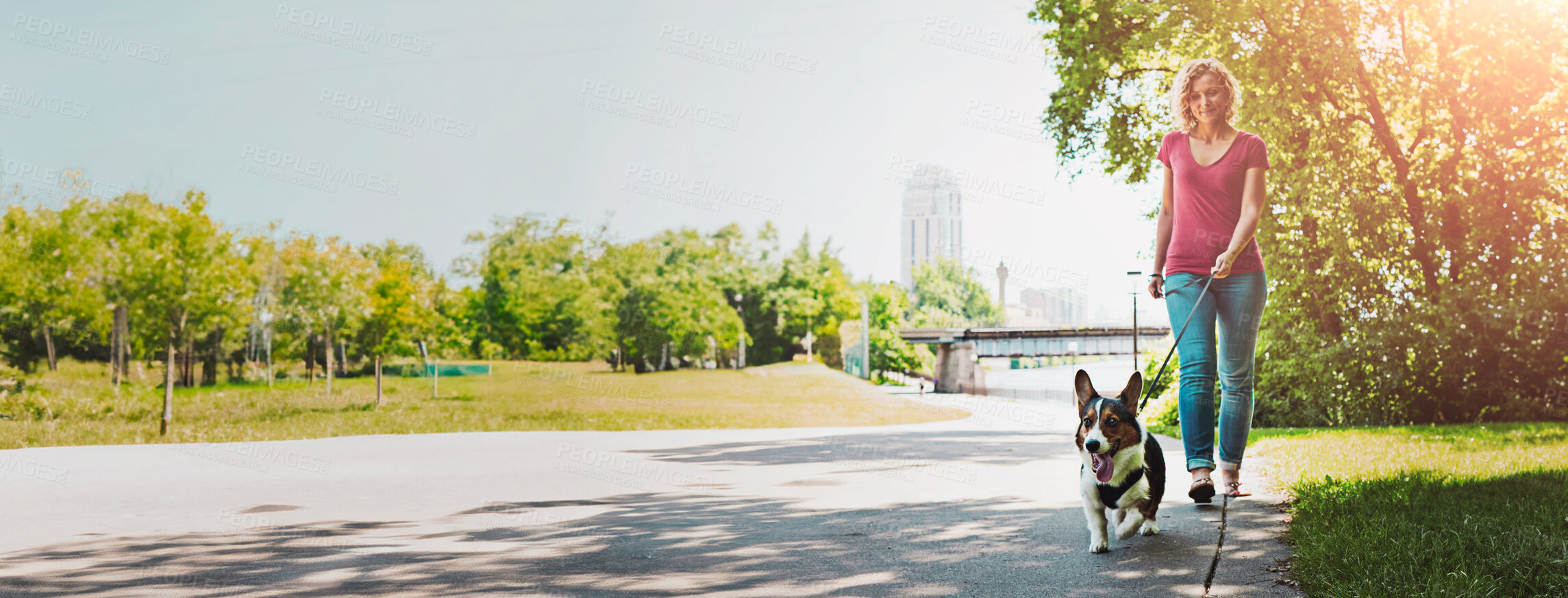 Buy stock photo Shot of an attractive young woman walking her dog in the park