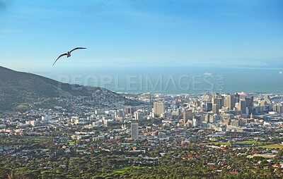 Buy stock photo Ocean, travel and city on hill with blue sky, buildings or bird flying on tropical coastal town location. Nature, cityscape and urban development on island with water, mountain or holiday destination