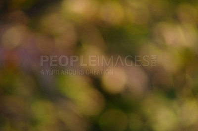 Buy stock photo Nature, lights and creative background with bokeh, texture and dots with abstract glow on outdoor aesthetic design. Mockup, art and green bush lighting particles in garden on blurred wallpaper space