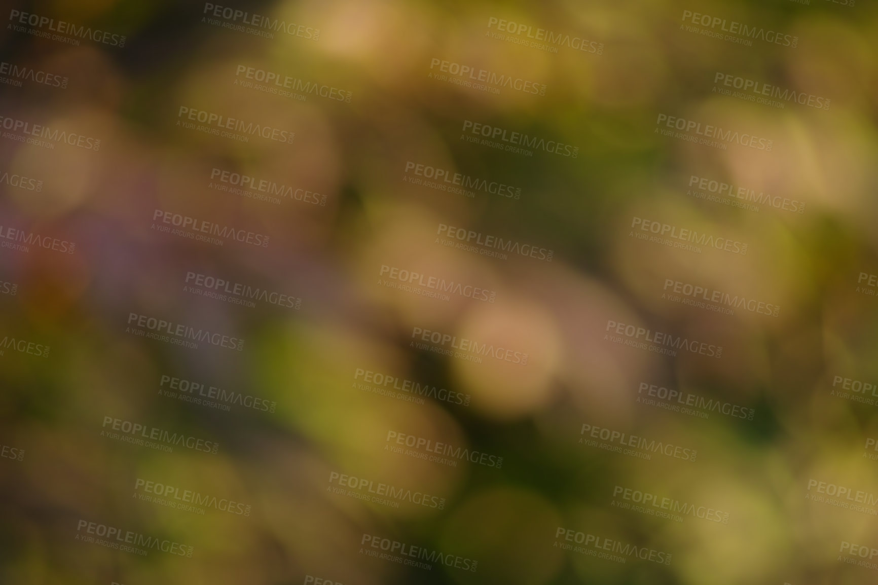 Buy stock photo Nature, lights and creative background with bokeh, texture and dots with abstract glow on outdoor aesthetic design. Mockup, art and green bush lighting particles in garden on blurred wallpaper space