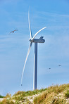 Wind turbine, blue sky and beach with renewable energy for alternative power or natural sustainability in nature. Empty, fan or eco friendly environment with resource or generator for green supply