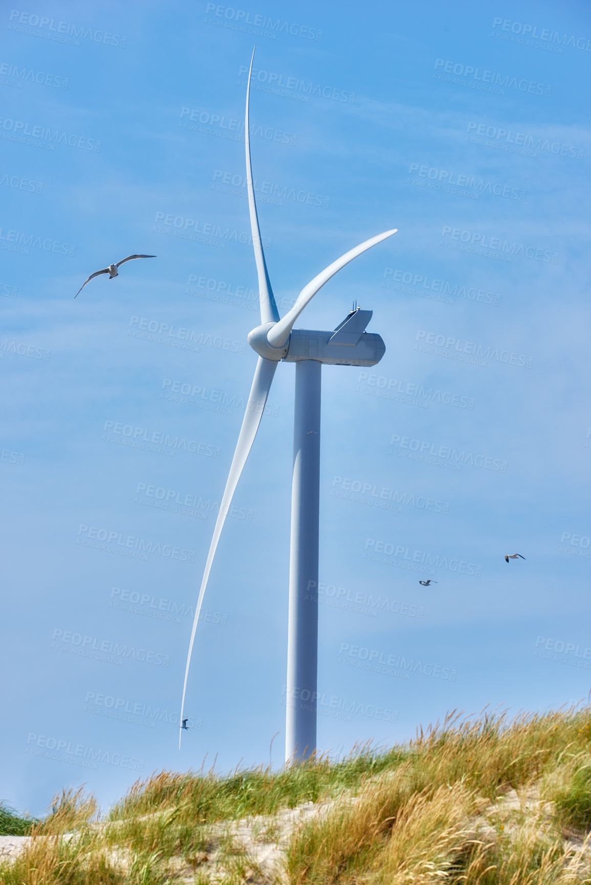 Buy stock photo Wind turbine, blue sky and beach with renewable energy for alternative power or natural sustainability in nature. Empty, fan or eco friendly environment with resource or generator for green supply
