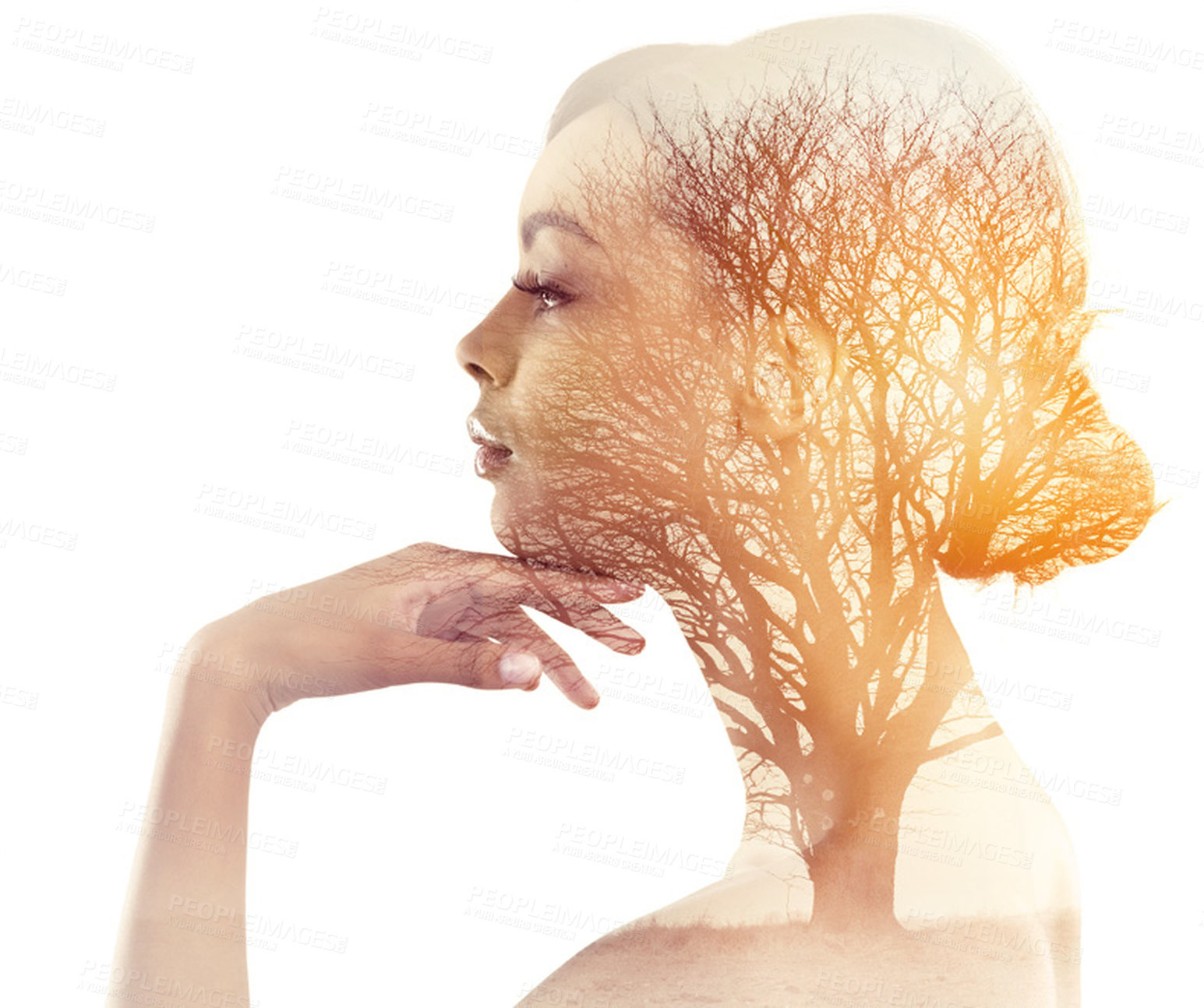 Buy stock photo Face, woman and double exposure on tree with thinking for natural beauty, skincare or ingredients. Female person, profile and nature lover with forest, woods or silhouette overlay in white background