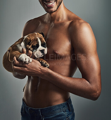 Buy stock photo Studio, smile and man with puppy, love and bonding with pet, affection and comfortable with bulldog. Grey background, happy and adoption of dog, together and loyalty of animal, person and care