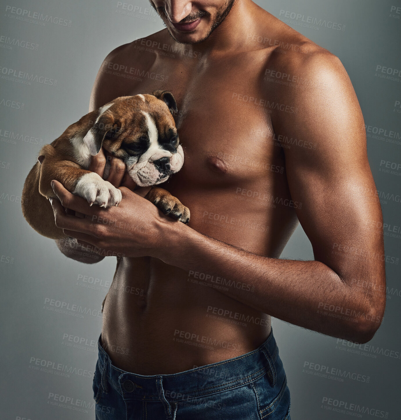 Buy stock photo Studio, smile and man with puppy, bonding and affection for pet, love and comfortable with bulldog. Grey background, happy and adoption of dog, together and loyalty of animal, person and care