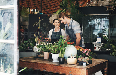 Buy stock photo Business people, flower store and nature with tablet, startup and check inventory. Professional, plant nursery and man with woman with tech, digital app and connection with organic growth or retail