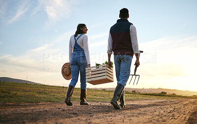 Buy stock photo Farming, woman and man with box of vegetables at sustainable small business in agriculture. Nature, countryside and happy farmer couple walking in field together with basket of food harvest from back