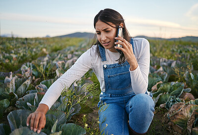 Buy stock photo Farmer, phone call and woman in nature, conversation and growth of crops, doubt and business of cabbage. Environment, confused and person in countryside, supplier and entrepreneur with vegetables