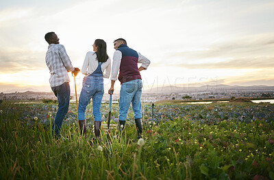 Buy stock photo Plants, farming and team of people in field with community, growth and sustainable business from back. Nature, vegetables and group of farmer friends in agriculture, food and support in countryside