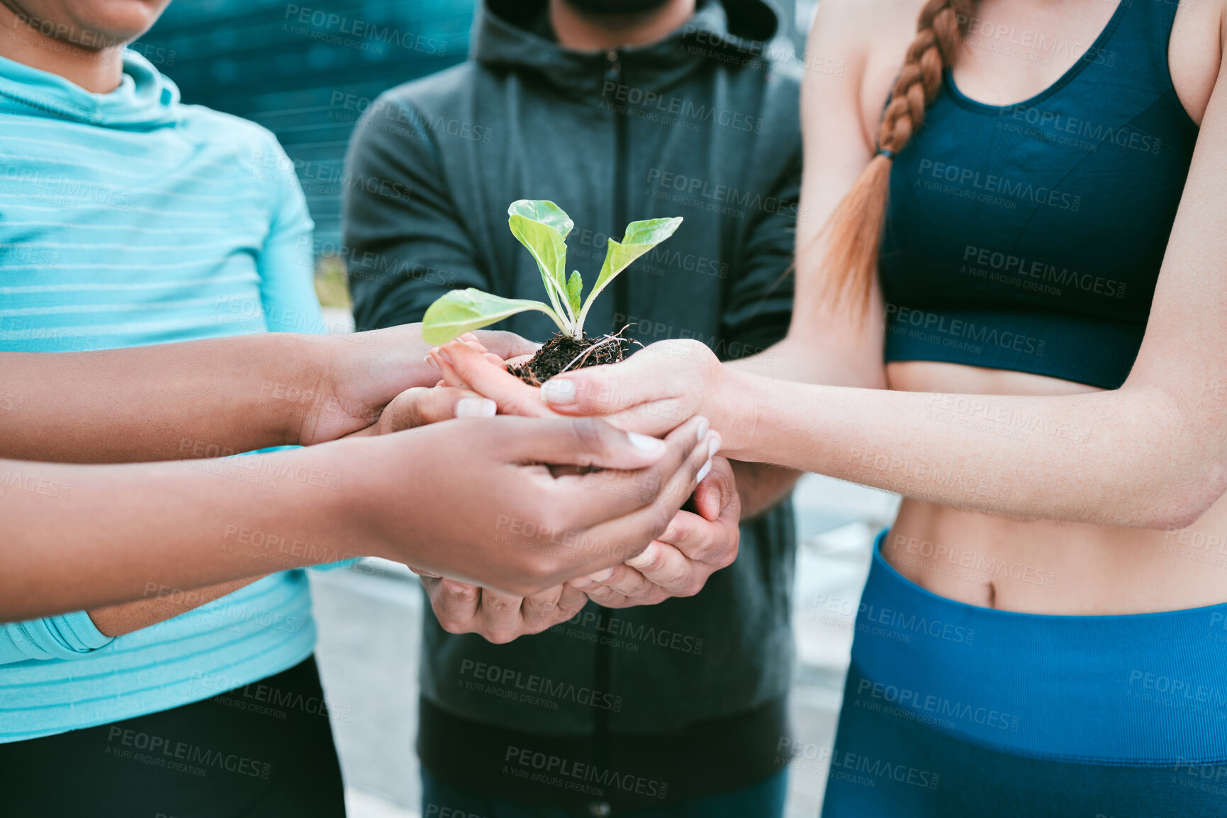 Buy stock photo People, hands and plant with seedling outdoor for eco friendly growth, sustainability and earth day. Climate change, fitness group and together for carbon footprint, conservation and protect sprout