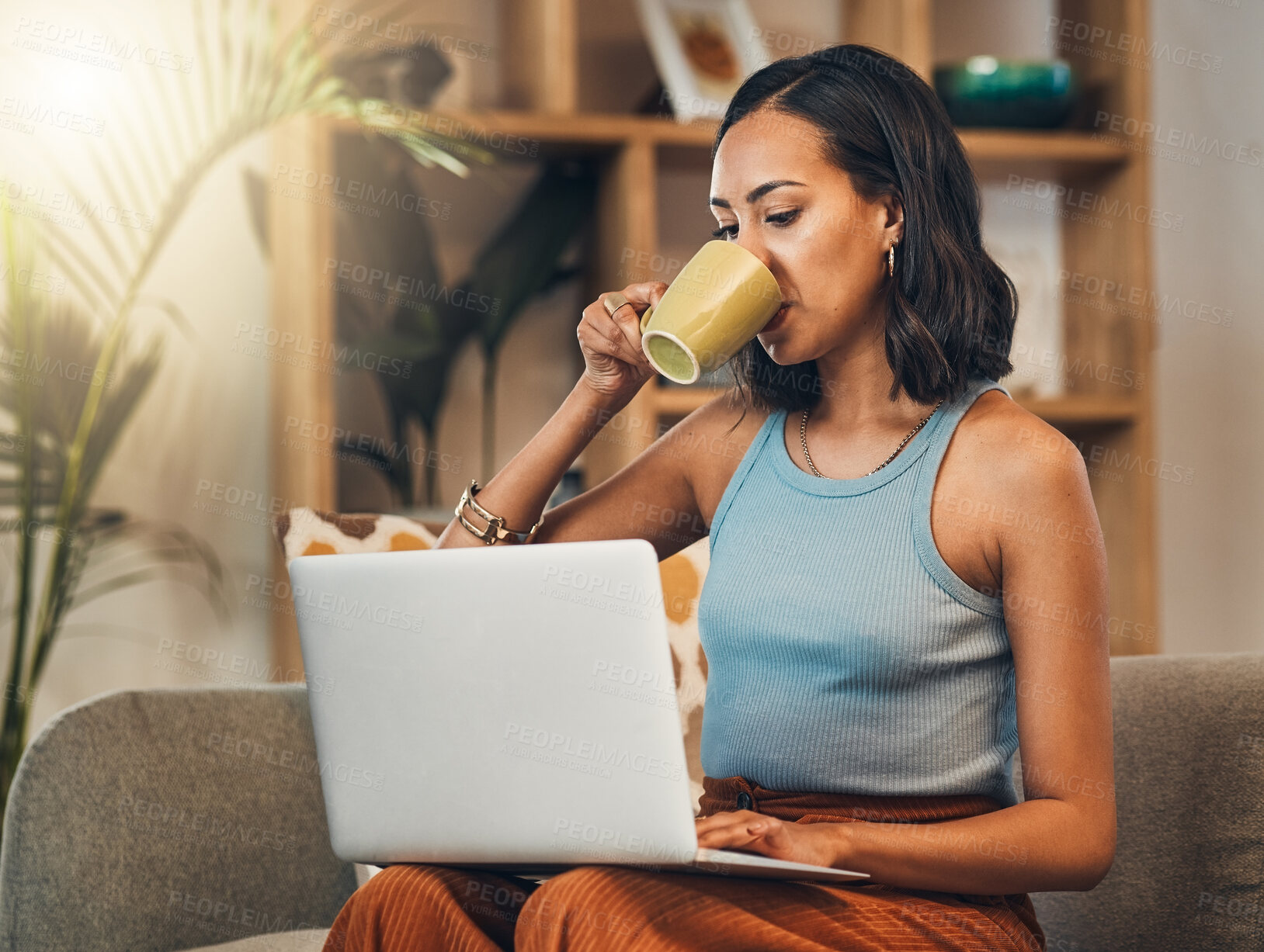 Buy stock photo Blogging, coffee and laptop with woman on sofa in living room of home for remote work or research. Computer, drink and typing with blogger person in apartment for edit or publish article online