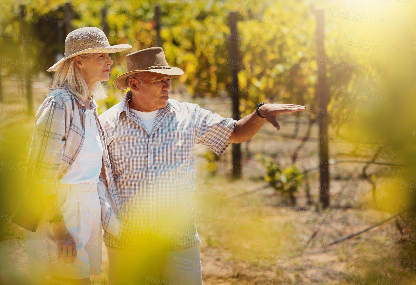 Buy stock photo Senior, farmer and woman in vineyard for agriculture with quality assurance or crops inspection for harvest. People, discussion or checking produce on grape field for sustainability or growth control