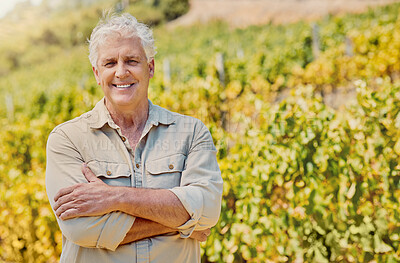 Buy stock photo Winery, arms crossed and portrait of man in vineyard for agriculture, grape farming and countryside. Sustainability, garden and environment with mature person in nature for horticulture and harvest