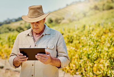 Buy stock photo Check, farmer and man with tablet in vineyard, small business and sustainable growth for plants. Farming, male person and senior owner with digital for quality control, agriculture or wine production