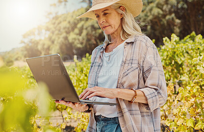 Buy stock photo Harvest, farmer and woman with laptop, agriculture and quality control of vineyard, sustainability or digital report. Mature lady, outdoor and smile with tech, plants and countryside inspection