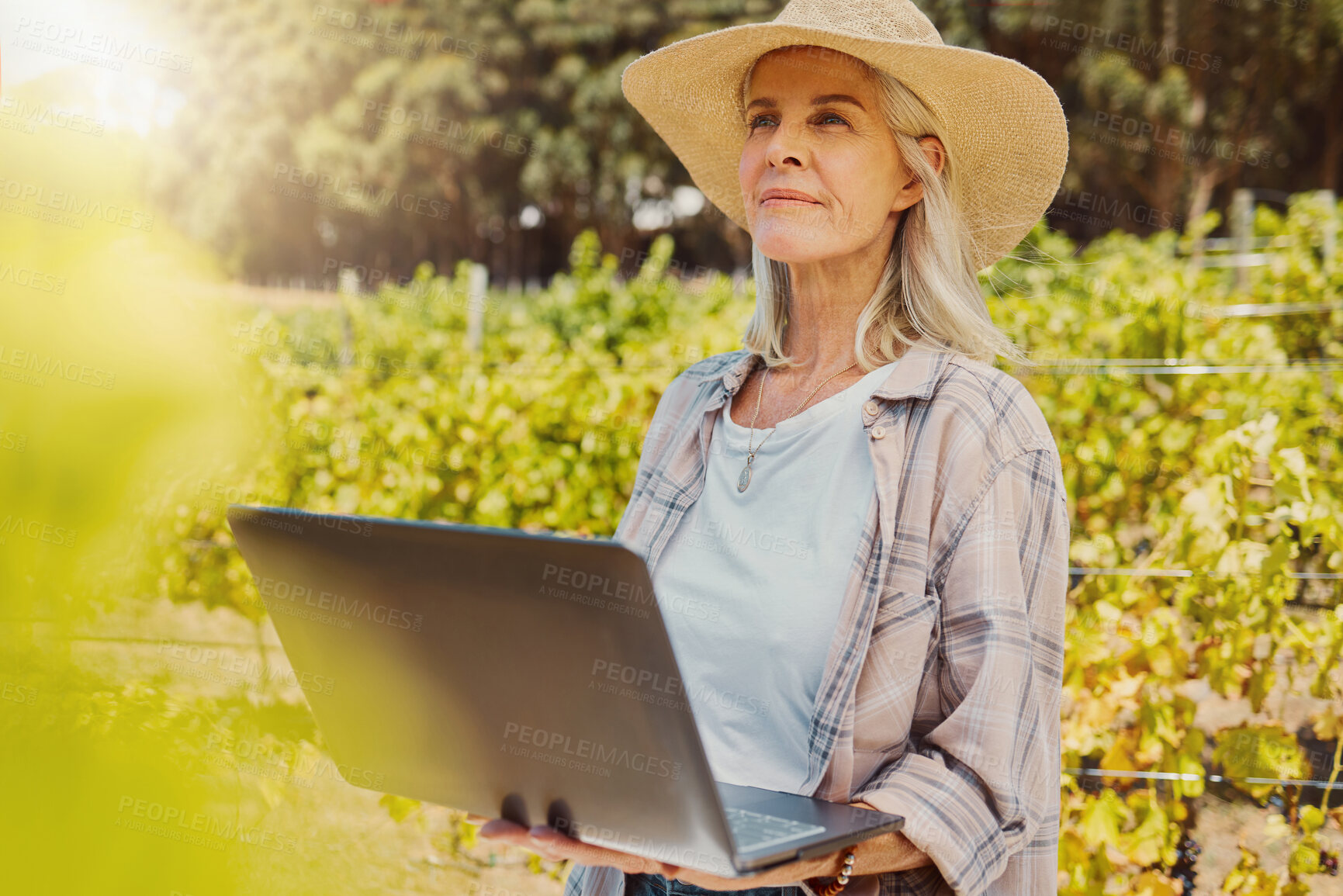 Buy stock photo Thinking, farmer and woman with laptop, agriculture and quality control of harvest, sustainability or digital report. Mature lady, outdoor and vineyard with tech, plants and countryside inspection