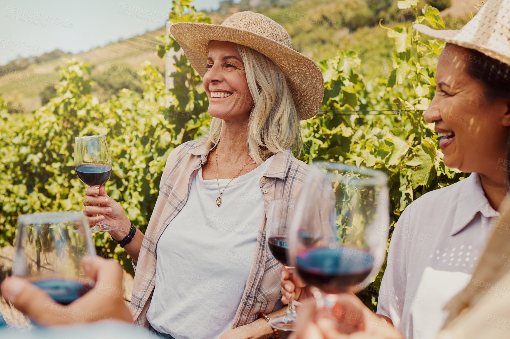 Buy stock photo Vineyard, women and happy as friends with wine glass for tasting, drinking and break in France. Farm, outdoor and people with smile or laughing on alcohol with bonding, support and holiday for love