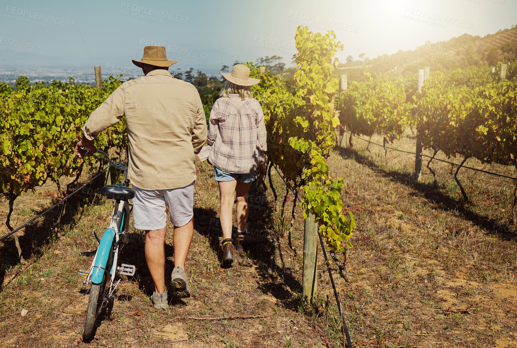 Buy stock photo Back, mature couple and walk in vineyard for countryside, travel and holiday with bicycle. Senior people outdoor, adventure and bonding for retirement together with landscape, tour and sightseeing