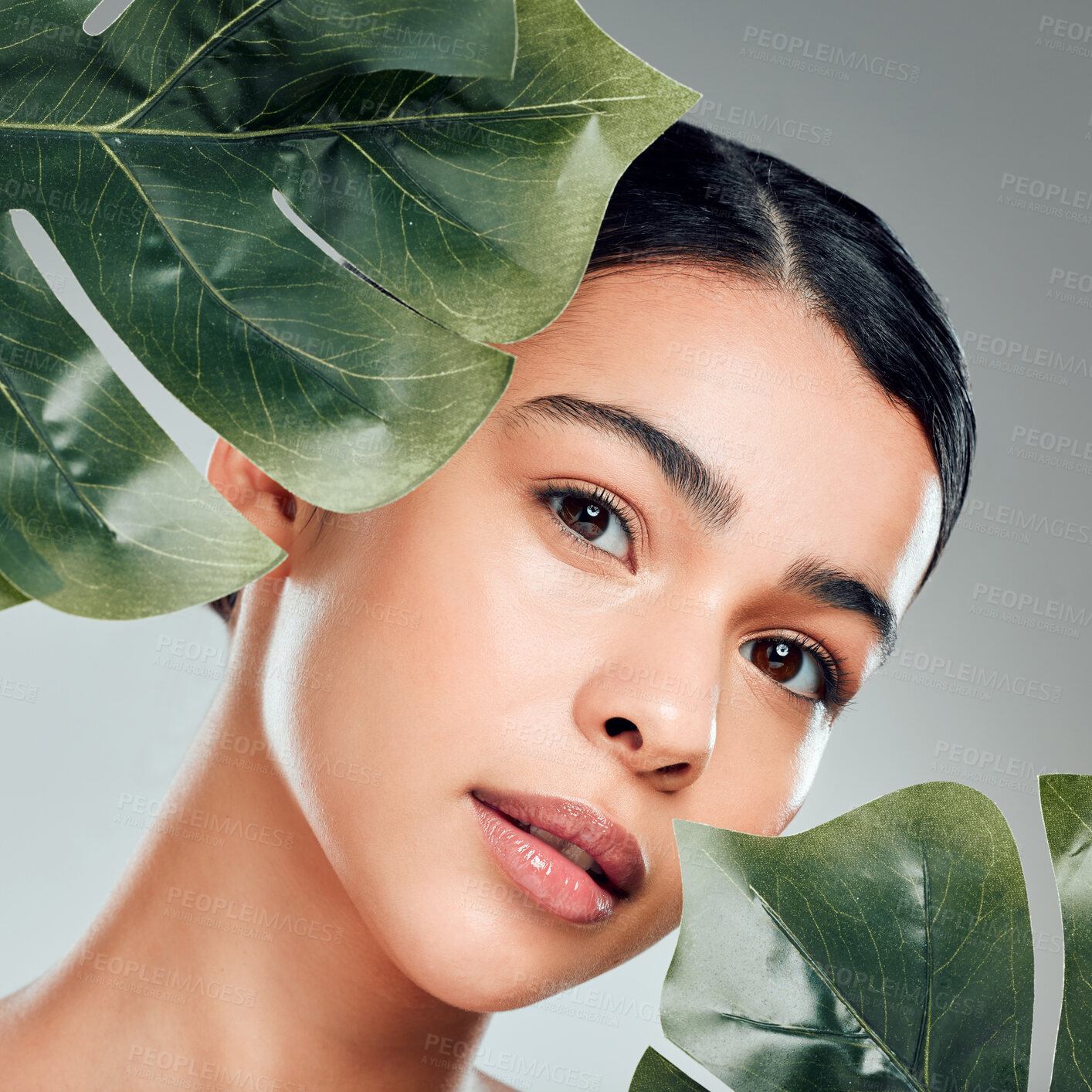 Buy stock photo Woman, portrait and skincare with leaves for natural beauty, cosmetics or facial on a gray studio background. Young, female person or model with organic plant for detox, aloe vera or spa treatment