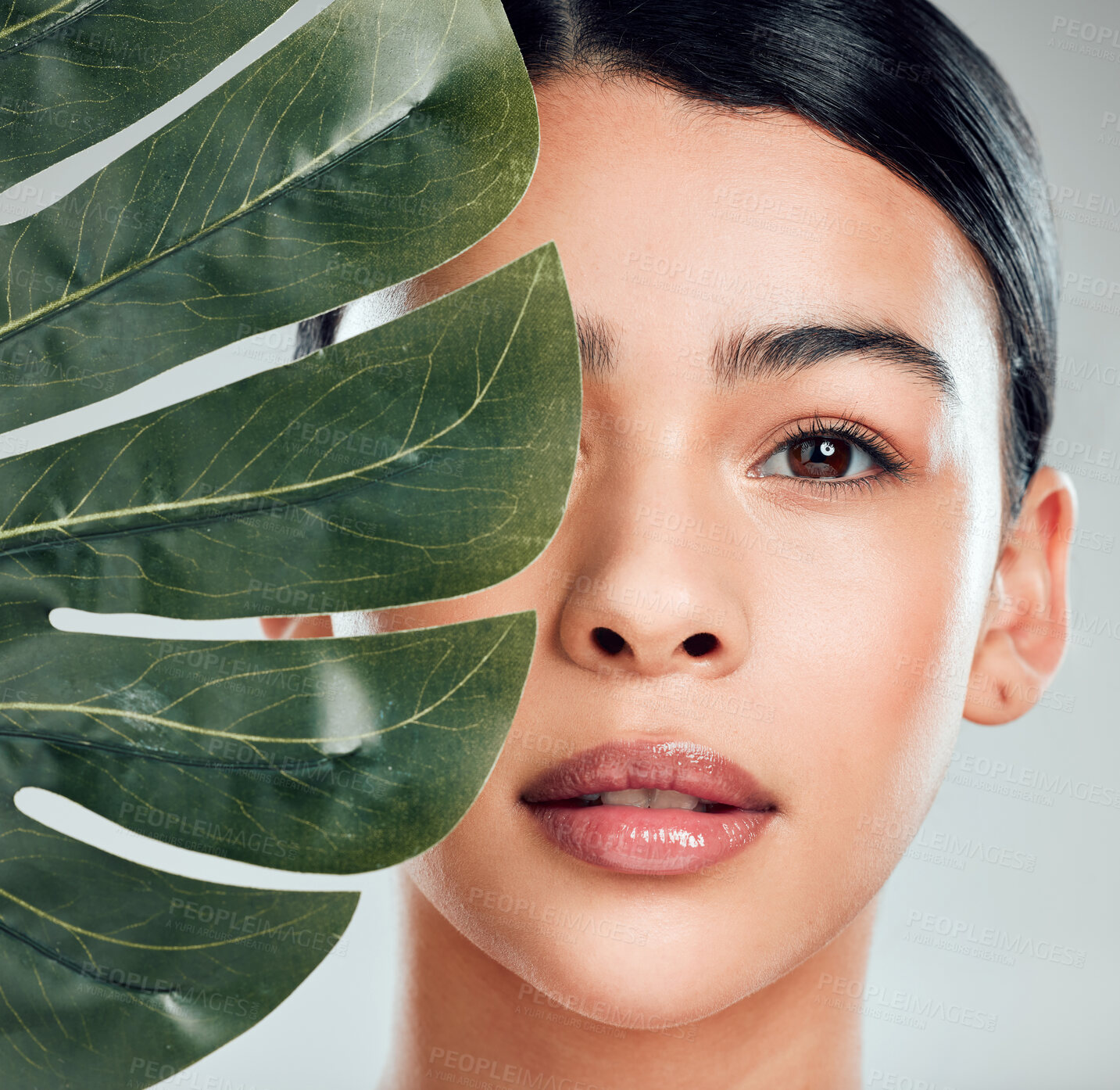 Buy stock photo Woman, portrait and leaves with natural beauty for skincare, cosmetics or facial on a gray studio background. Young, female person or model with organic plant for detox, aloe vera or spa treatment