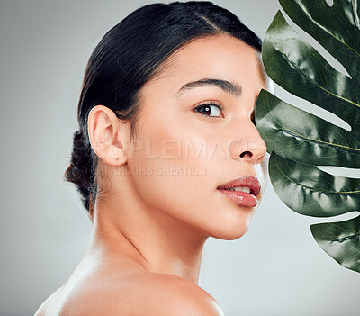 Buy stock photo Woman, portrait and leaf with natural beauty for skincare, cosmetics or facial on a gray studio background. Young, female person or model with organic green plant for detox, salon or spa treatment